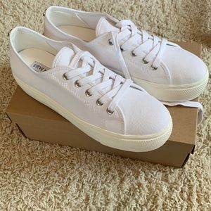 BRAND NEW Steve Madden Elore Whites